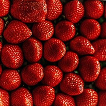 Top 5 de frutas saludables que debes incluir diariamente en tu dieta