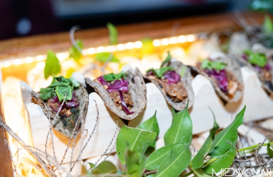 Taco Fest: Una Fiesta de Sabor en Yucatán