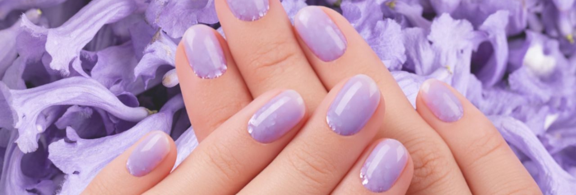 Jacaranda, el color etéreo.