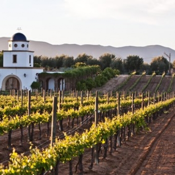 Valle de Guadalupe.